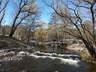 river in the park in the spring