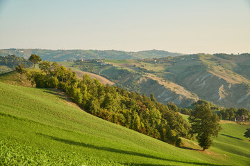 Fototapeta na wymiar Early morning on the hills of Emilia Romagna, Italy - Italian landscape. 