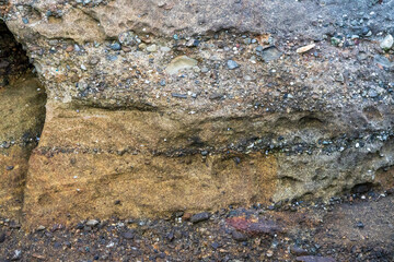 本山岬公園の海岸で見られる礫岩と砂岩の地層