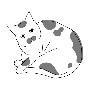 ぶち猫 Images Browse 254 Stock Photos Vectors And Video Adobe Stock