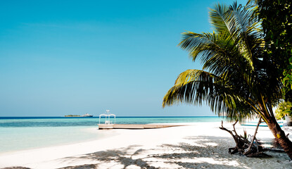 Tropical beach. leaves of palm trees sticking out from the corners of the frame. Palm tree, leaves in front of the blue sea