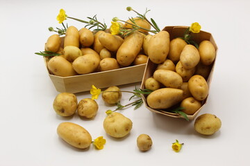 Pommes de terre grenaille