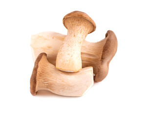 King oyster mushroom isolated on white background. Pleurotus eryngii mushroom.