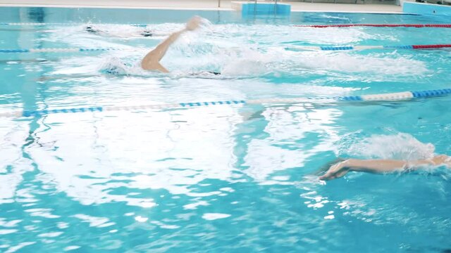 Side view of athletes swimming in lanes in a pool
