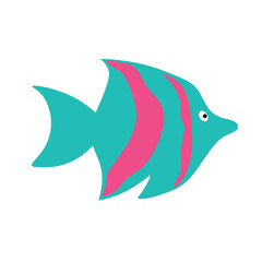 Sea fish on an isolated background. A variety of popular colored fish.