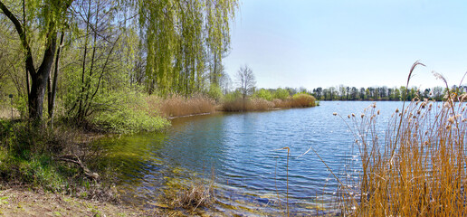 Frühlingserwachen am Angelsee