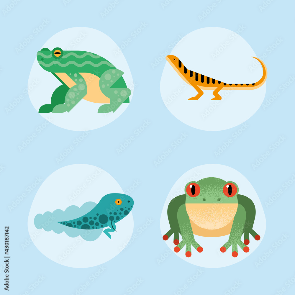 Poster cute four amphibians