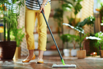 Fototapeta premium Housewife in house in sunny day housecleaning