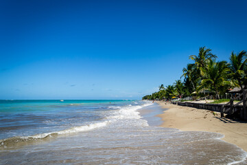 Beaches of Brasil - Tamandare Beach - Pernambuco state
