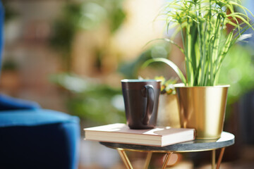 Book, cup, and potted plant on small table at home in sunny day