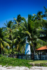 Fototapeta premium Beaches of Brasil - Tamandare Beach - Pernambuco state