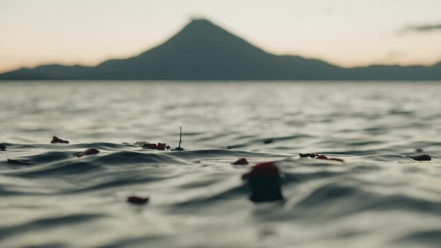Cinematic Shot of Flowers and Perals Floating on Sea Lagoon Water With Island in Background, Depth of Focus