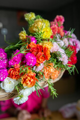 bouquet of flowers: Colorful of moss rose, portulaca grandiflora, japanese rose. Beautiful sun plant.