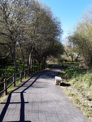 Paseo fluvial de A Magadalena en Vilalba, Galicia