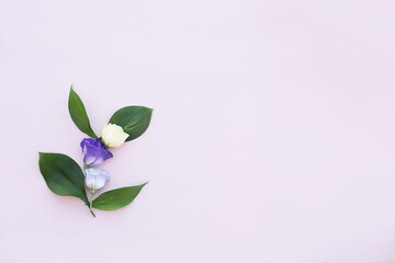 Flower arrangement on a light background.