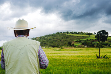 person in a field