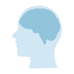 brain in profile