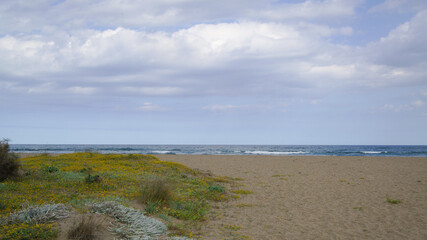 Spaggia tra il verde e il blu del mare.