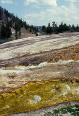 Geyser, Mammoth Hot Springs, Parc national du Yellowstone, Etats Unis, USA
