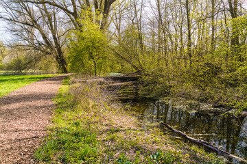 Frühling in Hermann-Löns-Park Hannover