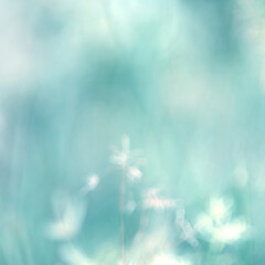 Green Mint Leaf background. Blurred leaves and circular bokeh. Abstract for design and wallpaper.