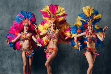 Women in brazilian samba carnival costume with colorful feathers plumage. - obrazy, fototapety, plakaty