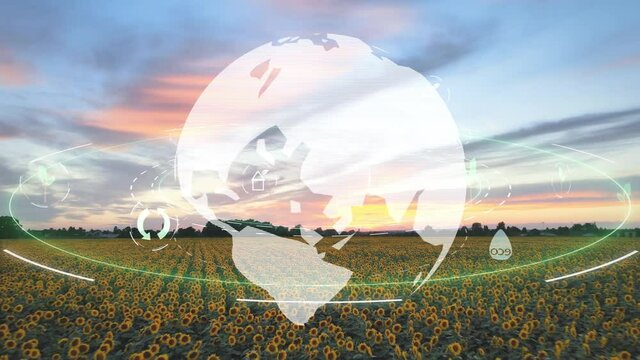 Holographic globe rotates over sunflower field with symbols for green energy, climate change, alternative energy generation, green planet