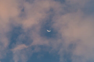 The moon crescent with thin clouds hitting the red light at the sunset, the sky background looks lonely but beautiful. Photo for background