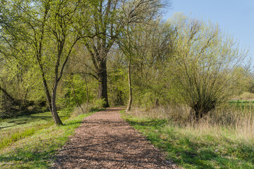 Frühling in Hermann-Löns-Park Hannover