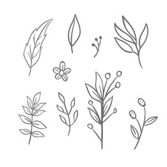 Fototapeta na wymiar Flowers and leaves doodle collection. Hand drawn floral ornaments. Decorative plants illustrations.