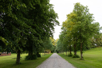 The asphalt road in big and beautiful public park in Frankfurt