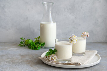 Obraz na płótnie Canvas Fresh homemade milk drink-yogurt, kefir, ayran, lassi, in two glasses on a gray background with greenery and flowers.