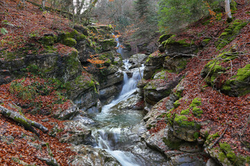 Gorgeous forest in Gamueta forest, Aragonese pyrenees, Huesca province, Spain