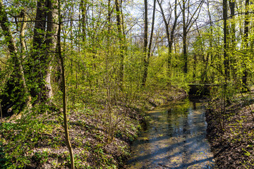 Frühling in Hermann-Löns-Park Hannover