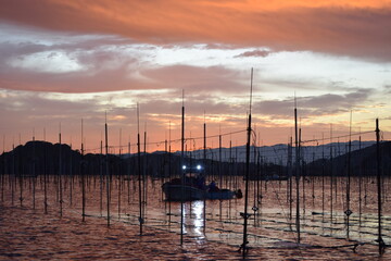 Fototapeta premium sunrise in the harbor