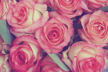 Rose Background. Colorful rose wall background. Women's bouquet of roses, top view.