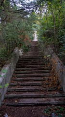Obraz premium stairs in the forest Odzhonikidze in Sochi