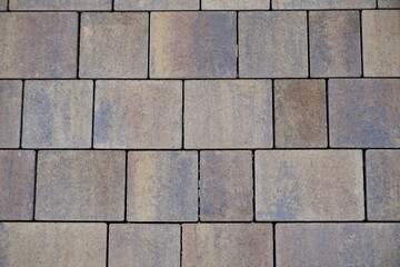 Pavement slabs as terrace covering with a strong structure can also be used well as a background