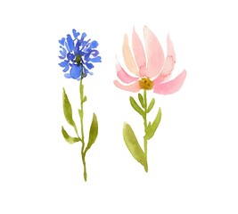 Watercolor flowers - 430204113