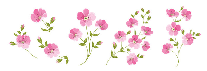 Obraz na płótnie Canvas Set of differents linen flowers on white background.