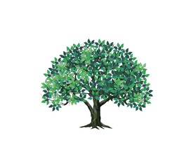 ecology tree with green leaves vector illustration