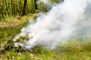Fototapeta na wymiar Smoke rising from burning green plants, Incineration of plants in the garden.