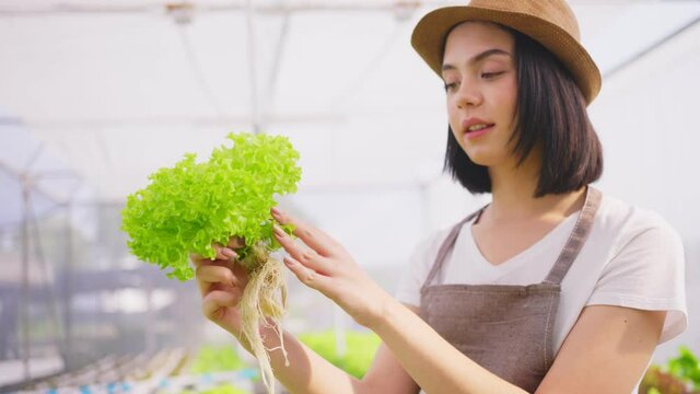 Caucasian female farmer checking quality of vegetables in greenhouse.