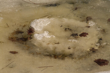 natural background early spring in the park in puddles ice and last year's foliage