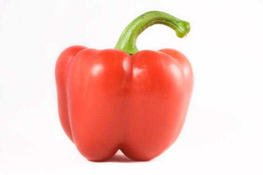 Single sweet red bell pepper