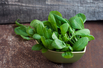 Green fresh spinach in green bowl on dark background