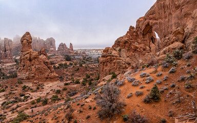South Window Morning Fog Mystery