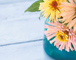 Zinnia flower bouquet for summer sale background on white wood backdrop