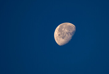 moon