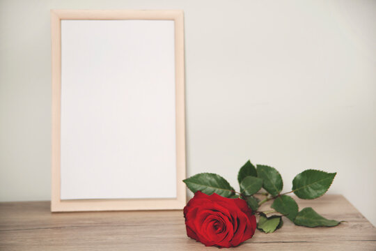 red rose and photo frame